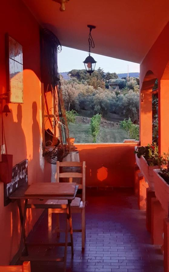 فيلا Poggio Agli Ulivi فراسكاتي المظهر الخارجي الصورة
