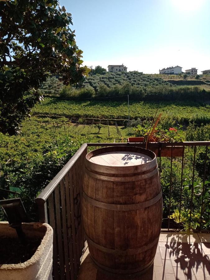 فيلا Poggio Agli Ulivi فراسكاتي المظهر الخارجي الصورة